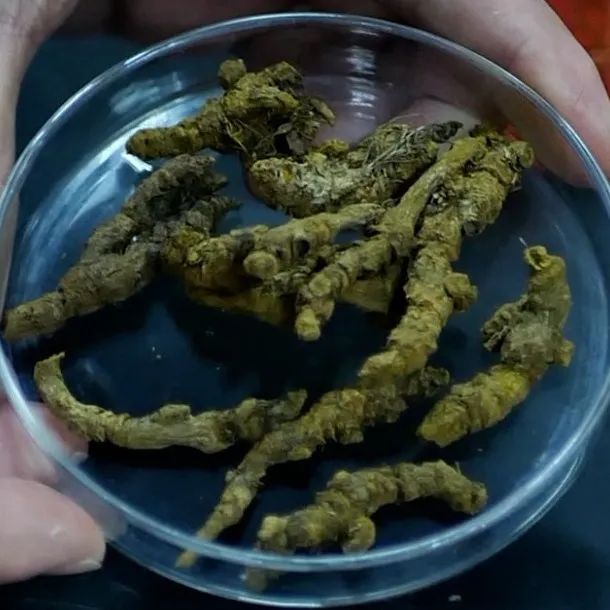 圖片9.jpg undefined